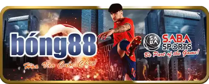 Đa dạng các môn thể thao tại vv88 bet